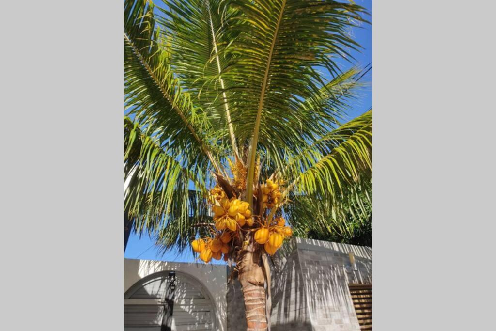 Villa Canne A Sucre Saint-Louis Luaran gambar
